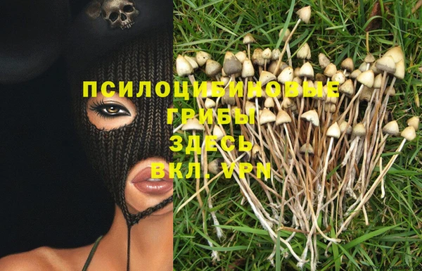 мет Верхний Тагил